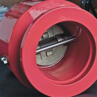 Grooved Dual Plate Check Valve